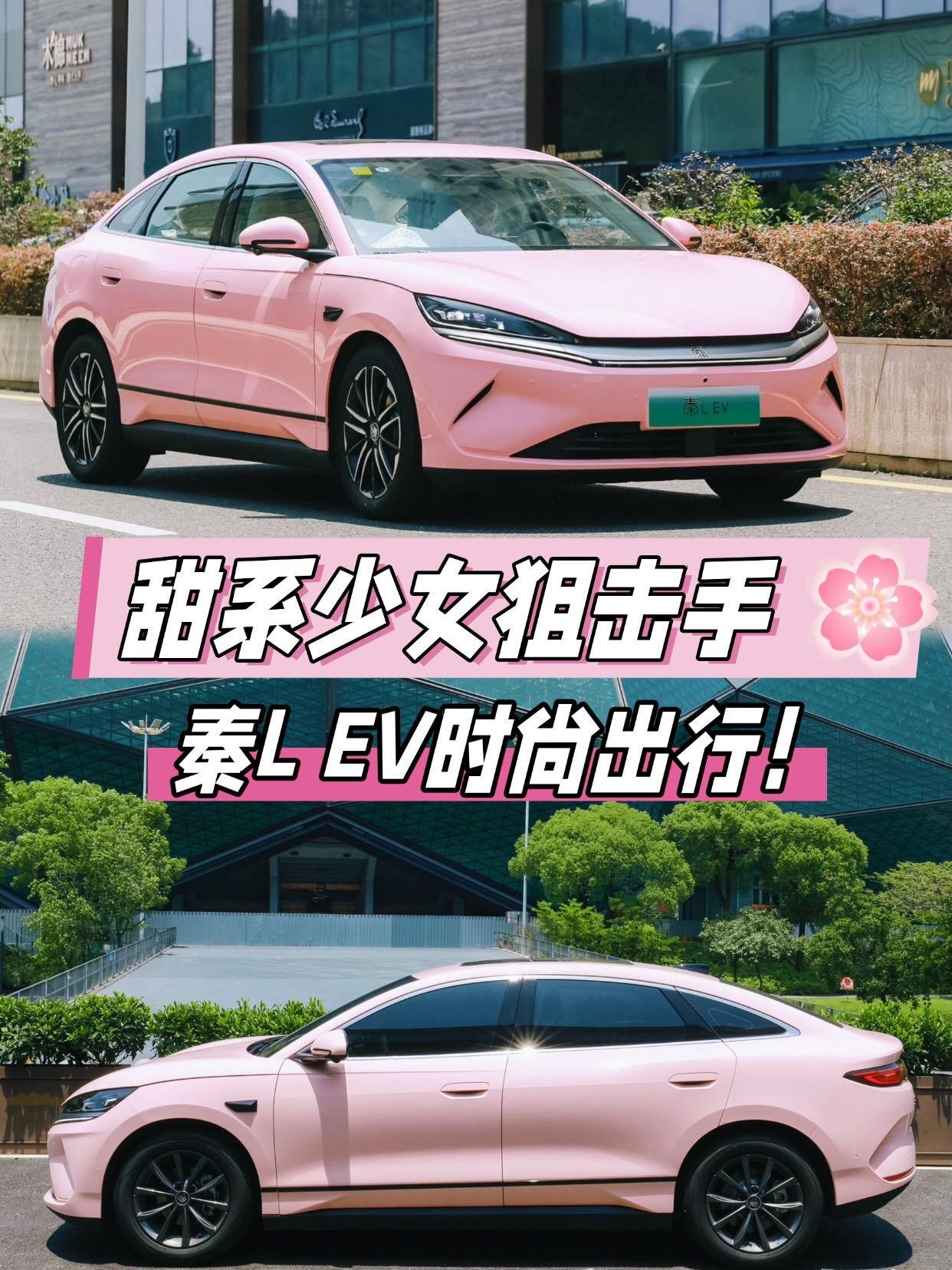 秦EV标准版450展示图1