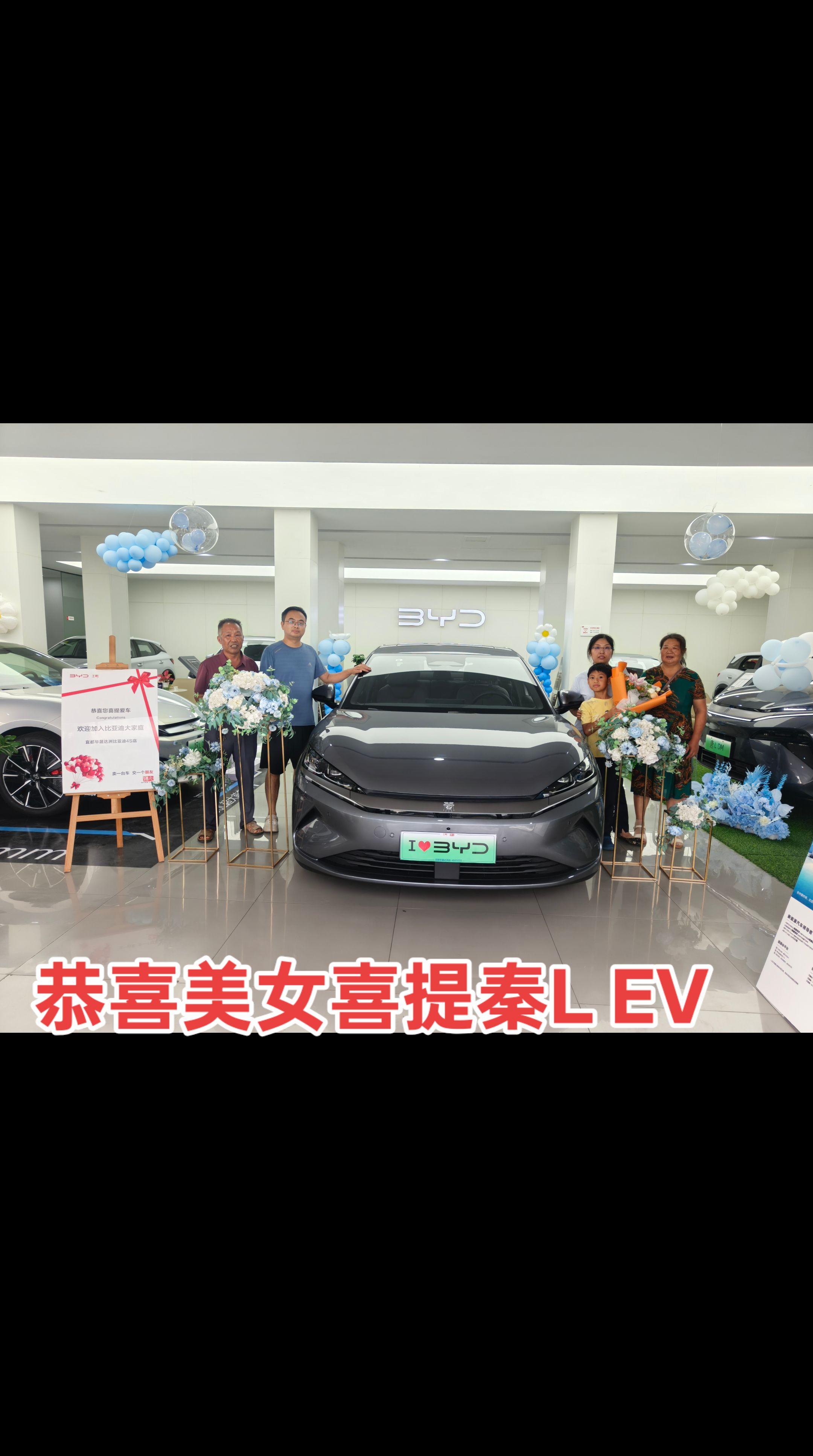 秦EV标准版450展示图2