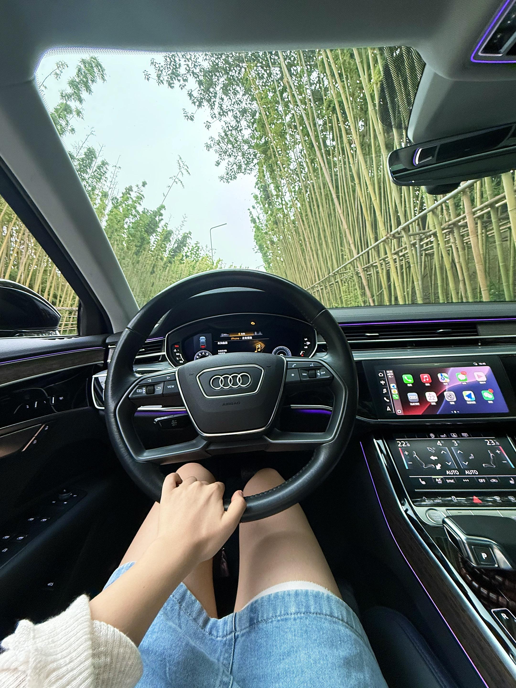 奥迪A8A8L 60 TFSI Horch创始人版展示图1